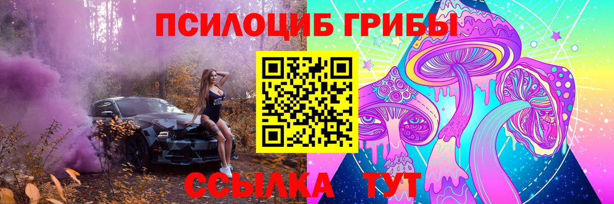 Белая Калитва  Псилоцибиновые грибы Psilocybine cubensis  Галлюциногенные грибы прущие грибы  Вход с VPN 
